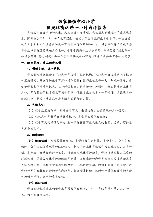 阳光体育活动自评报告