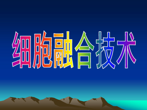 细胞融合