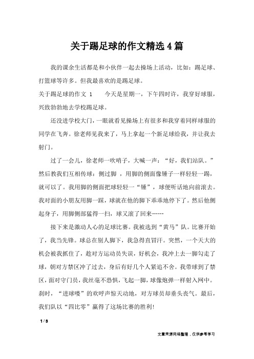 关于踢足球的作文精选4篇_作文素材