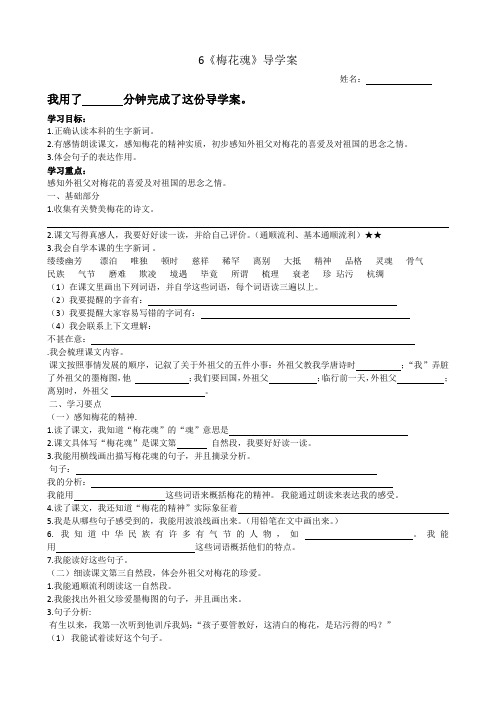 6梅花魂导学案