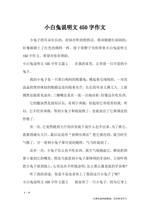 小白兔说明文450字作文_说明文