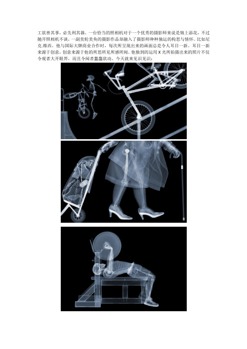 尼克.维西作品赏析