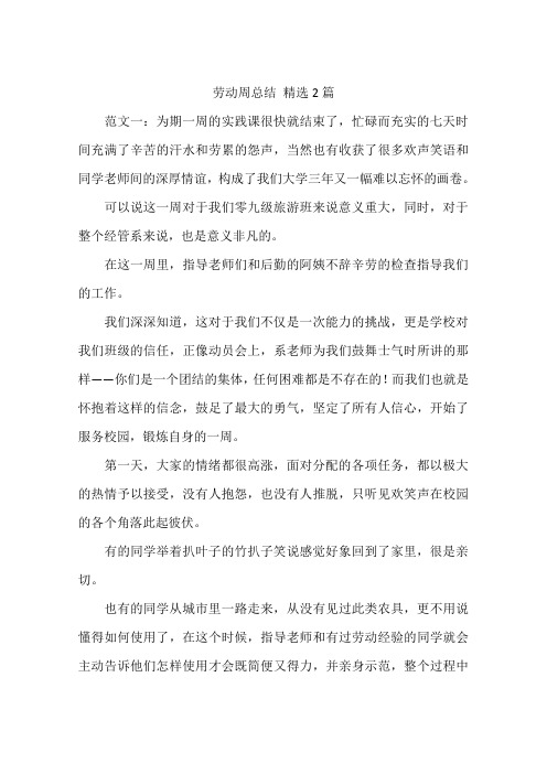 劳动周总结 精选2篇