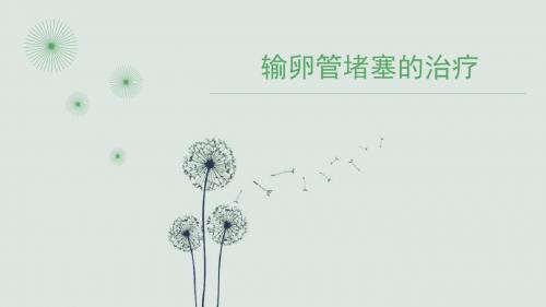 输卵管堵塞的治疗