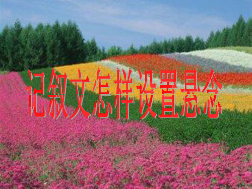 设置悬念
