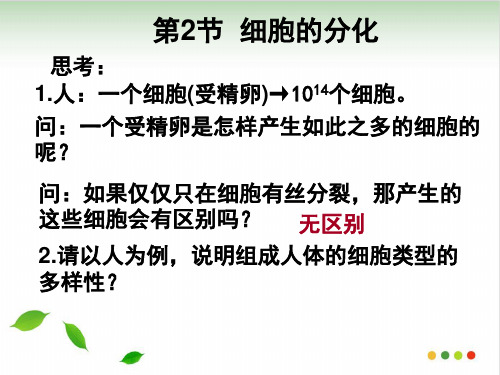《细胞的分化》人教版完美PPT