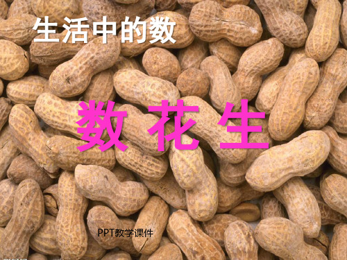 数花生精品课件