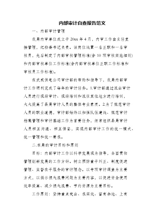 内部审计自查报告范文