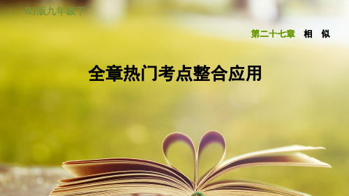 人教版九年级数学下册第二十七章《 相似》全章热门考点整合应用