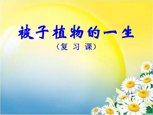 3.2.4  被子植物的一生   (复习课)