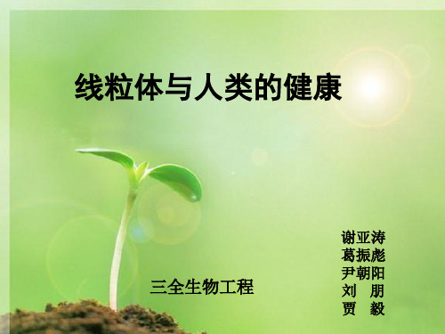 线粒体疾病