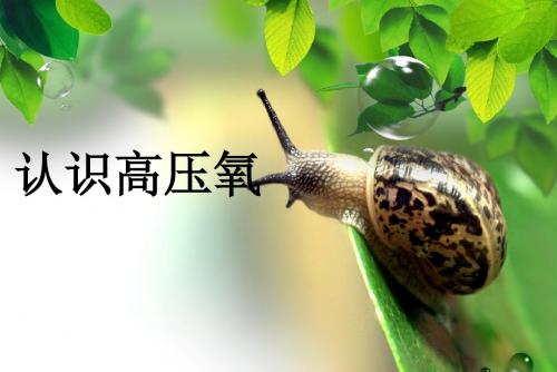 高压氧