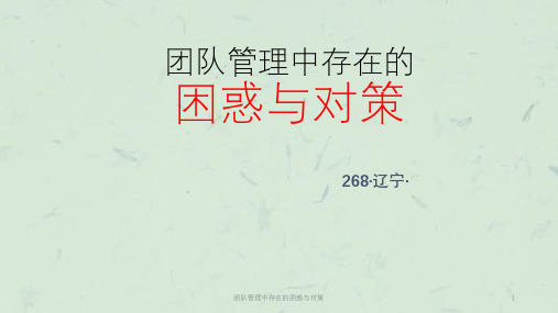 团队管理中存在的困惑与对策课件