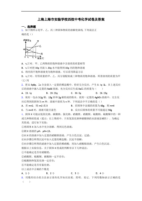 上海上海市实验学校西校中考化学试卷及答案