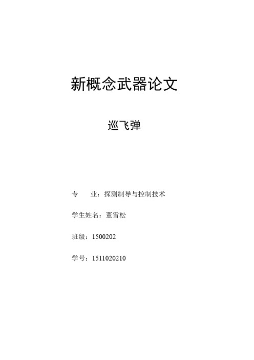 新概念武器--巡飞弹论文