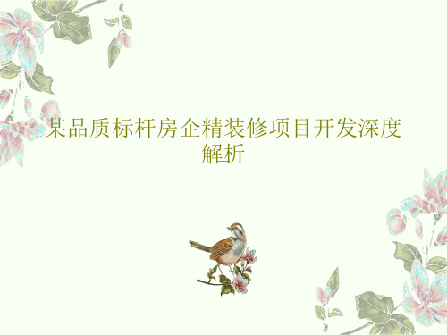 某品质标杆房企精装修项目开发深度解析97页PPT