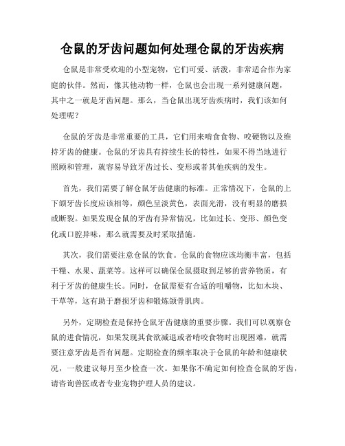 仓鼠的牙齿问题如何处理仓鼠的牙齿疾病