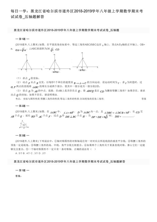 每日一学：黑龙江省哈尔滨市道外区2018-2019学年八年级上学期数学期末考试试卷_压轴题解答