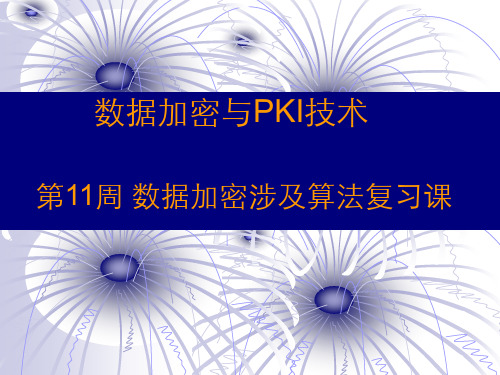 古典算法复习课