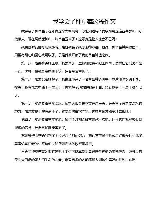 我学会了种草莓这篇作文