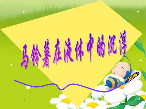 1.7《马铃薯在液体中的沉浮》