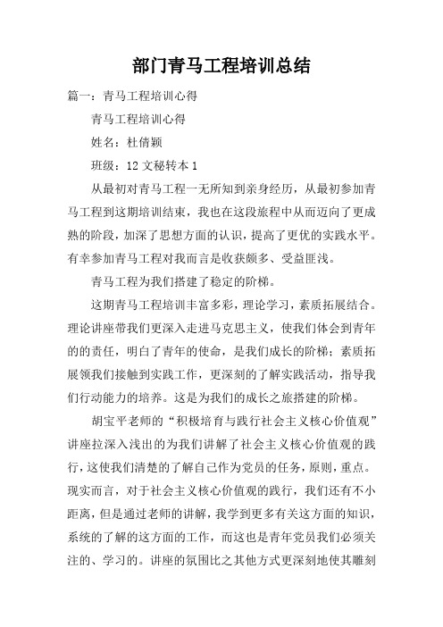 部门青马工程培训总结doc