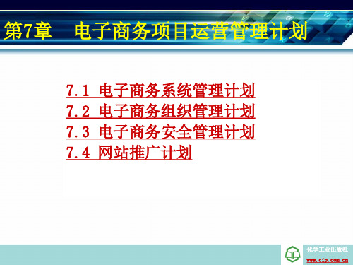 第7章-电子商务项目策划与设计(朱国麟)