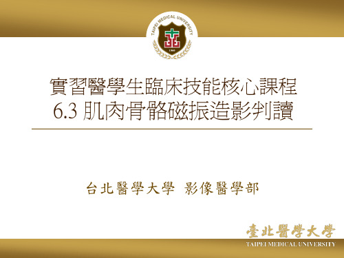 实习医学生临床技能核心课程