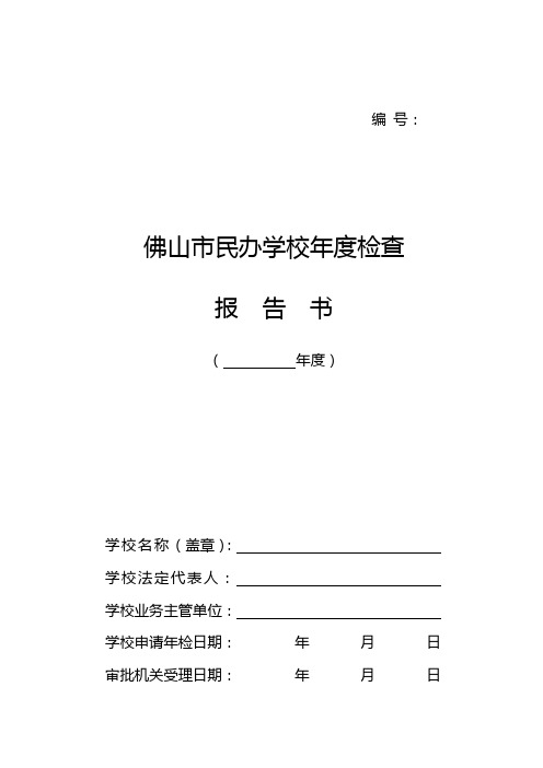 民办年检报告