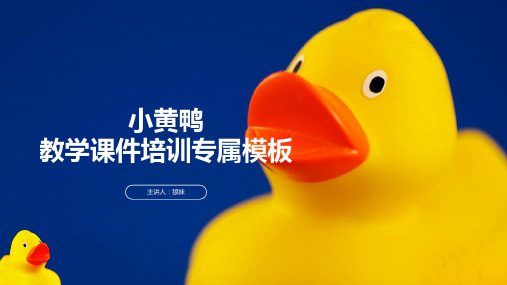 小黄鸭卡通教学课件培训专属PPT模板