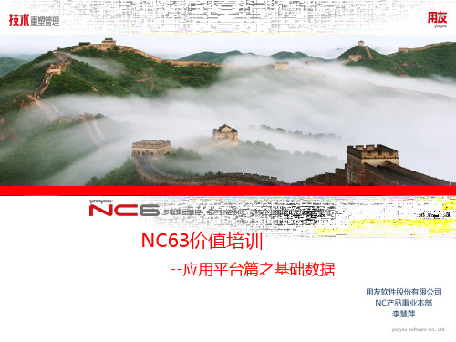 NCV63平台篇--基础数据管理