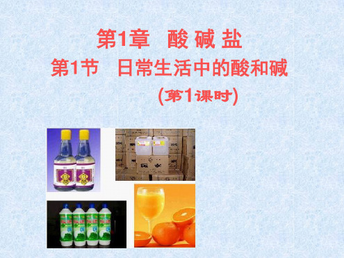 科学：1.1《日常生活中的酸和碱》(第1课时)课件(华师大九上)