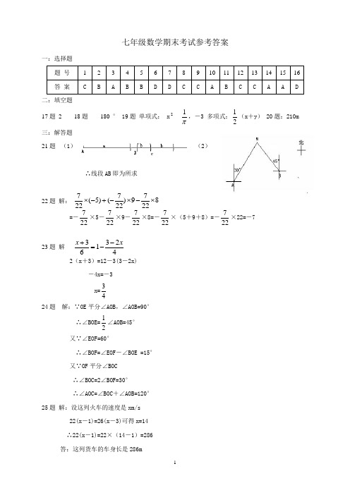 2014—2015学年七年级数学期末考试参考答案