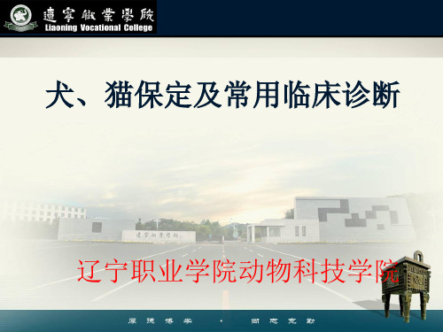犬猫保定及常用临床诊断  ppt课件