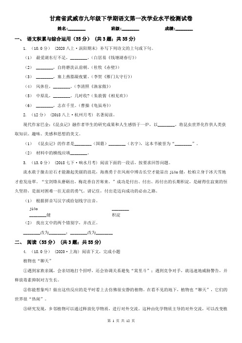 甘肃省武威市九年级下学期语文第一次学业水平检测试卷
