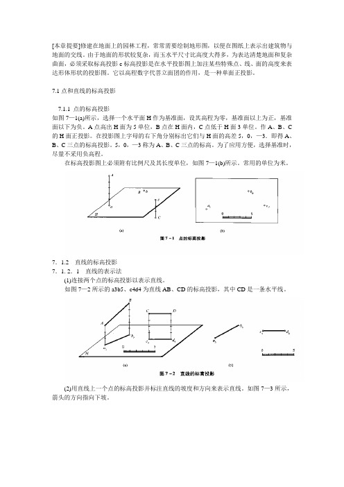 标高