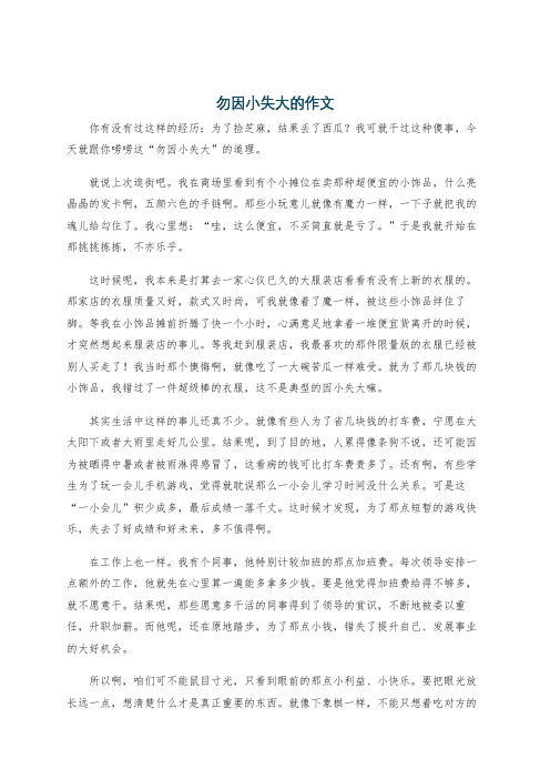 勿因小失大的作文