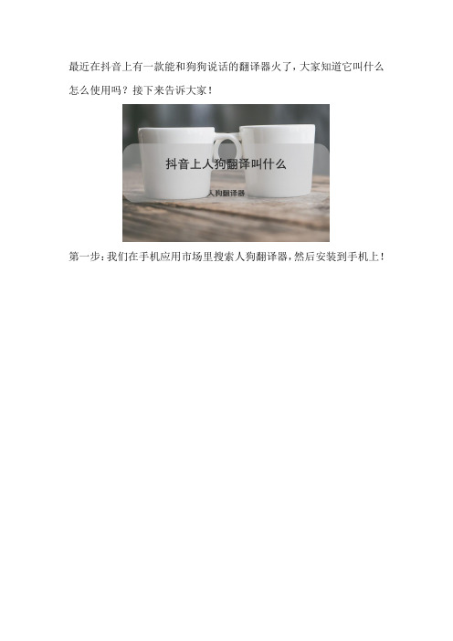 抖音上的人狗翻译叫什么