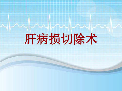手术讲解模板：肝病损切除术