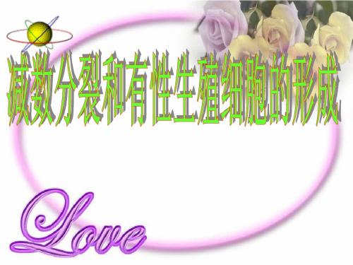 【高中生物】减数分裂和有性生殖细胞的形成ppt10(一轮复习)