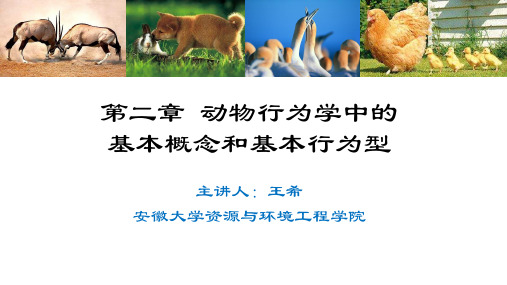 第二章 动物行为学中的基本概念和基本行为型