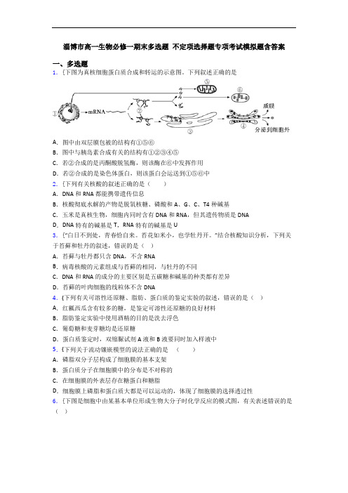 淄博市高一生物必修一期末多选题 不定项选择题专项考试模拟题含答案