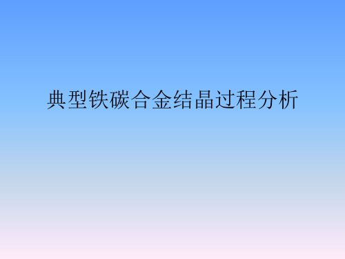 典型铁碳合金结晶过程分析
