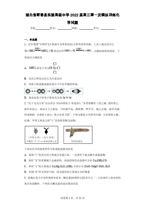 湖北省蕲春县实验高级中学2022届高三第一次模拟训练化学试题