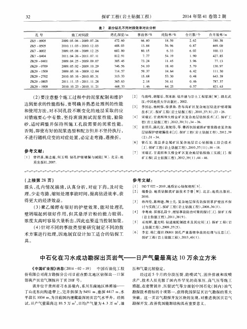 中石化在习水成功勘探出页岩气--日产气量最高达10万余立方米