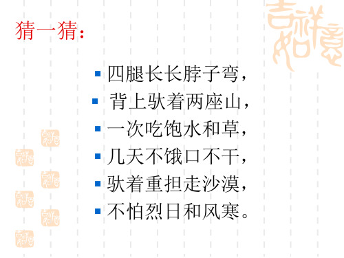 北师大版语文第八册《沙漠之舟》ppt课件1