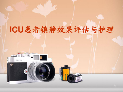 ICU患者镇静效果评估与护理  ppt课件