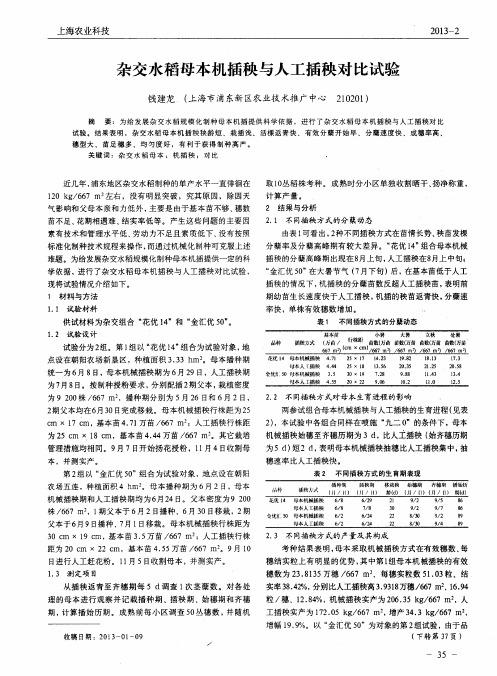 杂交水稻母本机插秧与人工插秧对比试验