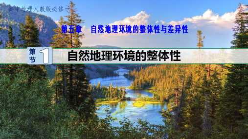 人教版高中地理必修一课件：5.1  自然地理环境的整体性(共20张PPT)