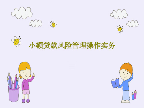 小额贷款风险管理操作实务PPT文档49页